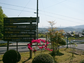 緑の植え込と木製の案内板。