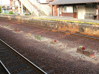2線の間の敷地に並べられたプランター