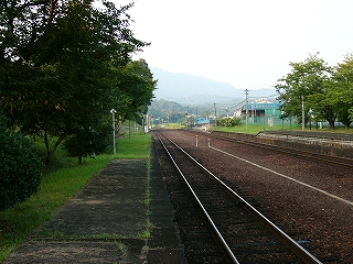 ホームの端付近の古いコンクリート面。ホームの左端は木々か生い茂っている。右手に線路。