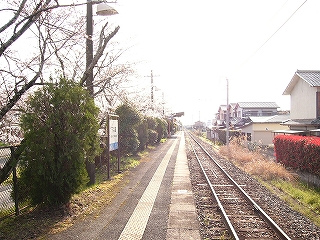 植え込み、ホーム、線路内、人家。