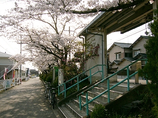 両脇に緑色の柵のある少し幅の広い階段がホームへと続いている。