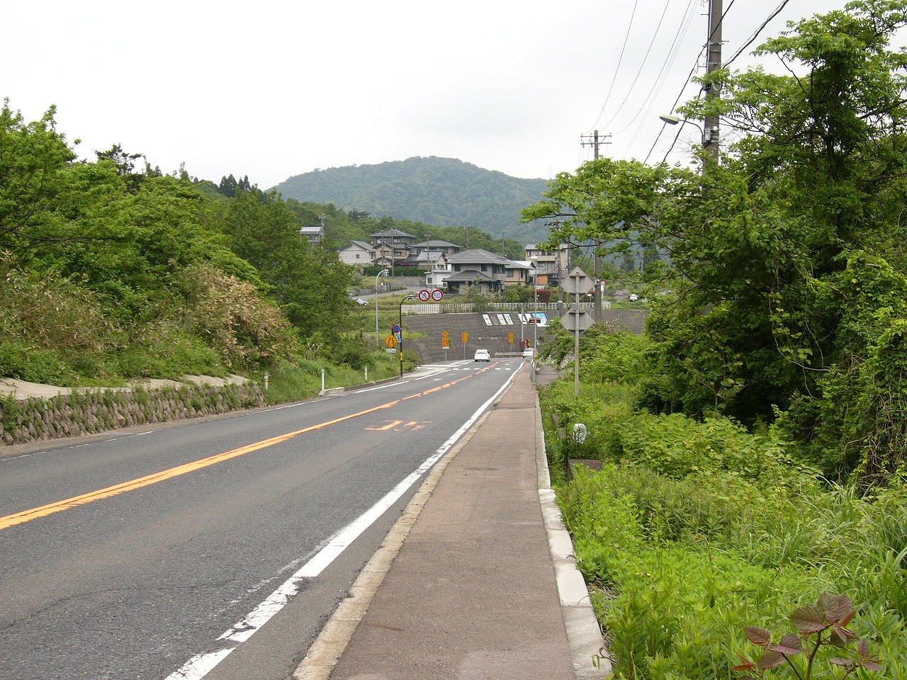 両脇に低木の茂る２車線道路。右側に幅の狭い歩道がある。
