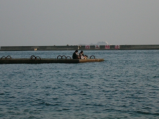 突堤の先端の様子。