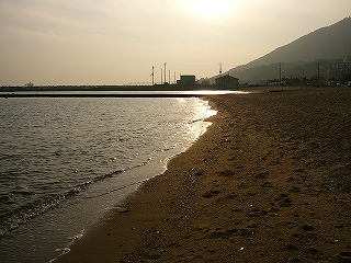 水面に夕日がきらきらしている。