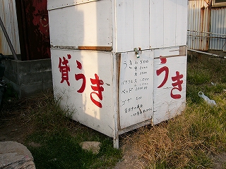 すっかり錆びたトタンの波板に覆われた粗末な小屋の群れ。