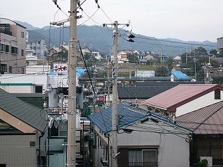 民家の屋根。アパートの屋根。電信柱。