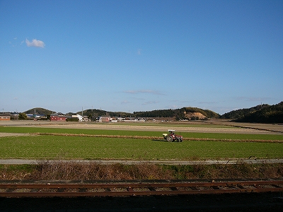 緑の畑と冬の青い空。