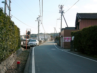 両脇に白線の引かれた細道。手前両脇には民家の緑の垣根。少し遠くは、開放的だ。