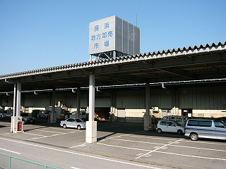 背の高い波板の屋根の下には自動車が何台か停まり、その奥に市場の建物。