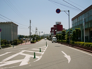まっすぐ伸びる２車線の道路。両脇に緑の植え込み。走っている自動車はない。