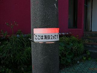 電柱に巻きつけられた海抜の表示。