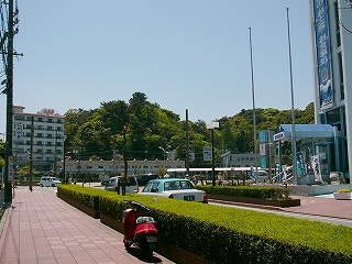 きれいな四角に刈り込まれた植え込みのある歩道。