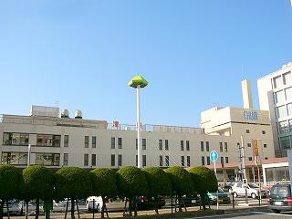 こんもりした背の低い木と駅舎前面。