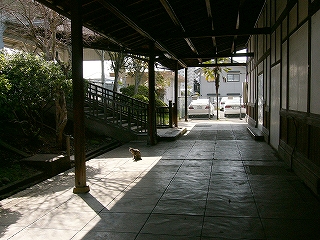 日向と日陰の静かな回廊。左手に植え込み。