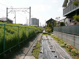 左手に草茂る盛り土、右手に里道。