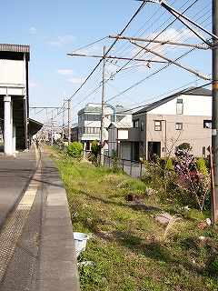 緑の茂る路盤。上空には片持ち架線。