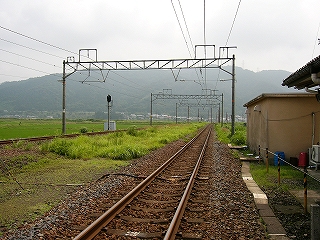 延びる線路。草の茂る敷地を挟んだ向こうにまた線路がある。