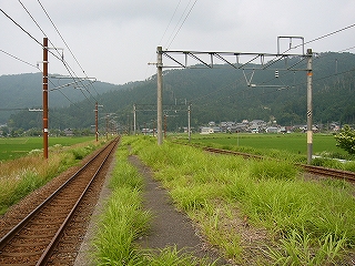 外郭だけ舗装された、草の茂るホーム。
