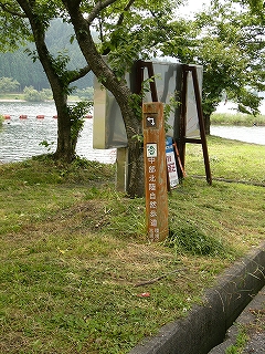 明るい茶色の自然歩道の標柱。
